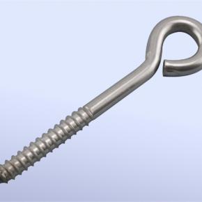 Stainless Steel Lag Eye Bolt