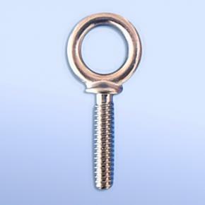 Stainless Steel Eye Bolt G279